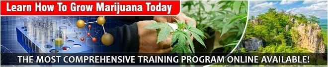 Green CulturED Cannabis College