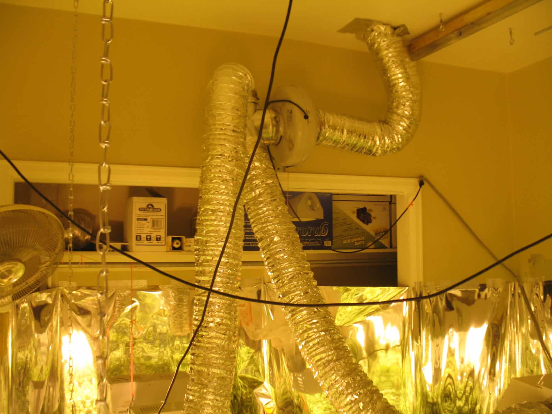 Essential AIR For Marijuana Growing Rooms 💬 Green CulturED eLearning