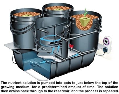 Important Hydroponic Reservoir Tips For Growing Cannabis ...