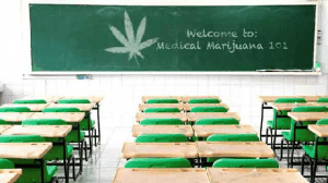 cannabis college